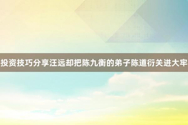 投资技巧分享汪远却把陈九衡的弟子陈道衍关进大牢