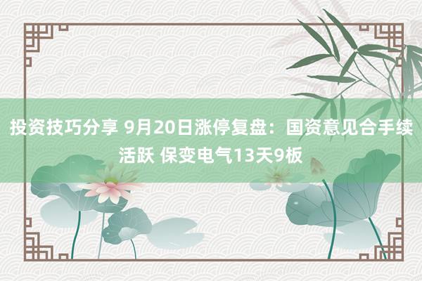 投资技巧分享 9月20日涨停复盘：国资意见合手续活跃 保变电气13天9板