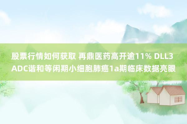 股票行情如何获取 再鼎医药高开逾11% DLL3 ADC谐和等闲期小细胞肺癌1a期临床数据亮眼