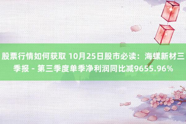 股票行情如何获取 10月25日股市必读：海螺新材三季报 - 第三季度单季净利润同比减9655.96%