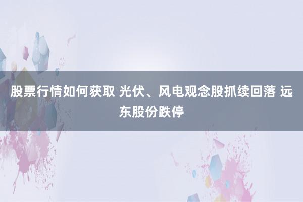 股票行情如何获取 光伏、风电观念股抓续回落 远东股份跌停