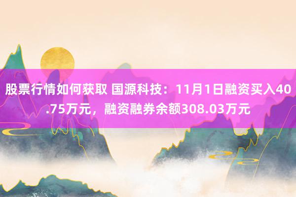 股票行情如何获取 国源科技：11月1日融资买入40.75万元，融资融券余额308.03万元