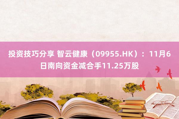 投资技巧分享 智云健康（09955.HK）：11月6日南向资金减合手11.25万股