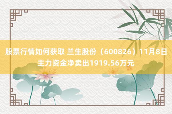 股票行情如何获取 兰生股份（600826）11月8日主力资金净卖出1919.56万元