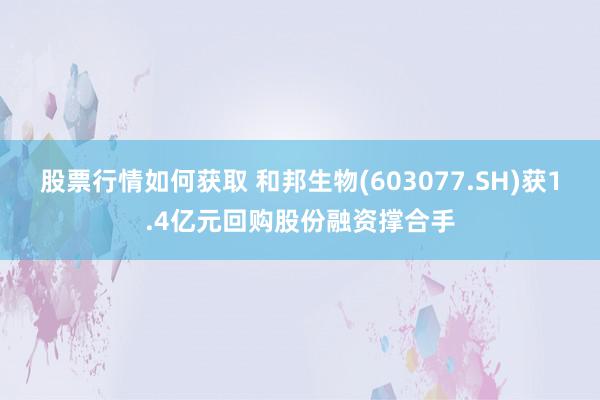 股票行情如何获取 和邦生物(603077.SH)获1.4亿元回购股份融资撑合手