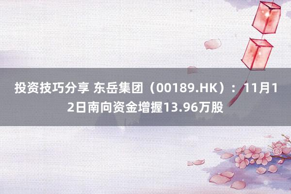 投资技巧分享 东岳集团（00189.HK）：11月12日南向资金增握13.96万股