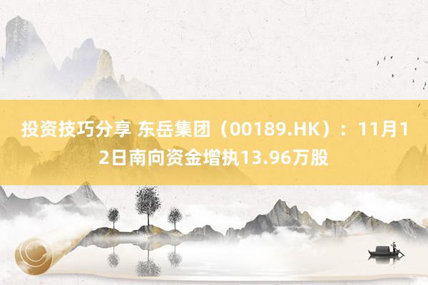 投资技巧分享 东岳集团（00189.HK）：11月12日南向资金增执13.96万股