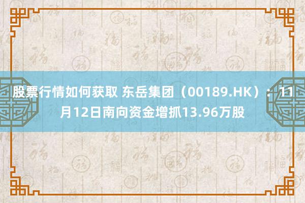 股票行情如何获取 东岳集团（00189.HK）：11月12日南向资金增抓13.96万股