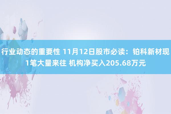 行业动态的重要性 11月12日股市必读：铂科新材现1笔大量来往 机构净买入205.68万元