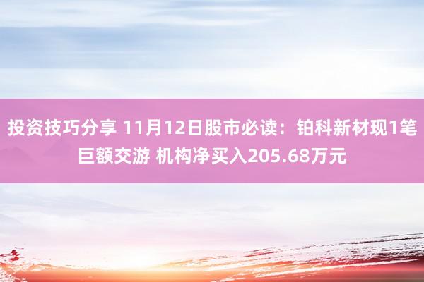 投资技巧分享 11月12日股市必读：铂科新材现1笔巨额交游 机构净买入205.68万元