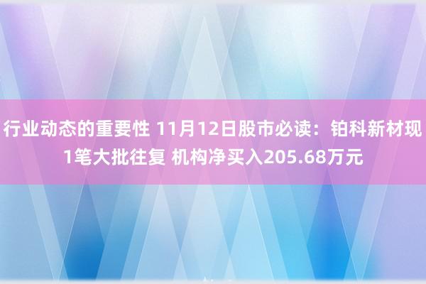 行业动态的重要性 11月12日股市必读：铂科新材现1笔大批往复 机构净买入205.68万元