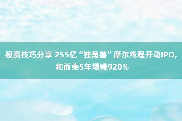 投资技巧分享 255亿“独角兽”摩尔线程开动IPO, 和而泰5年爆赚920%