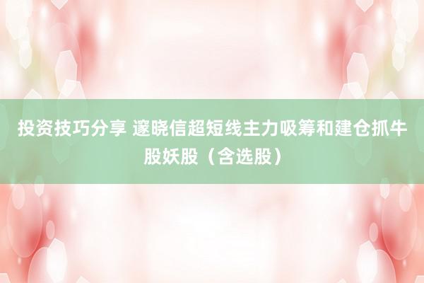 投资技巧分享 邃晓信超短线主力吸筹和建仓抓牛股妖股（含选股）