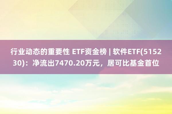 行业动态的重要性 ETF资金榜 | 软件ETF(515230)：净流出7470.20万元，居可比基金首位