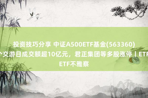 投资技巧分享 中证A500ETF基金(563360)畅通5个交游日成交额超10亿元，君正集团等多股涨停丨ETF不雅察