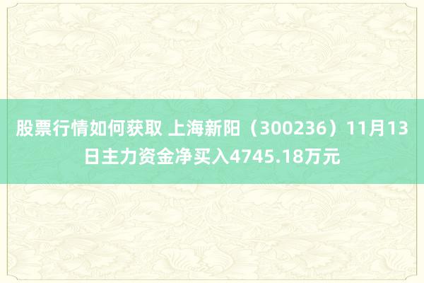 股票行情如何获取 上海新阳（300236）11月13日主力资金净买入4745.18万元