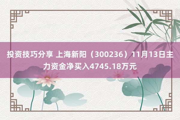 投资技巧分享 上海新阳（300236）11月13日主力资金净买入4745.18万元