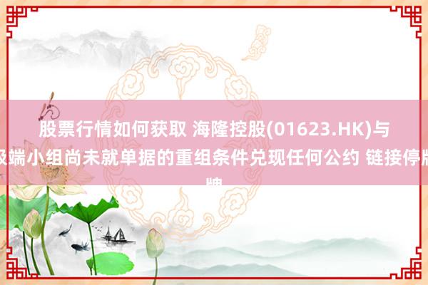 股票行情如何获取 海隆控股(01623.HK)与极端小组尚未就单据的重组条件兑现任何公约 链接停牌