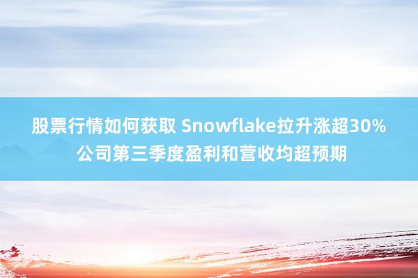 股票行情如何获取 Snowflake拉升涨超30% 公司第三季度盈利和营收均超预期