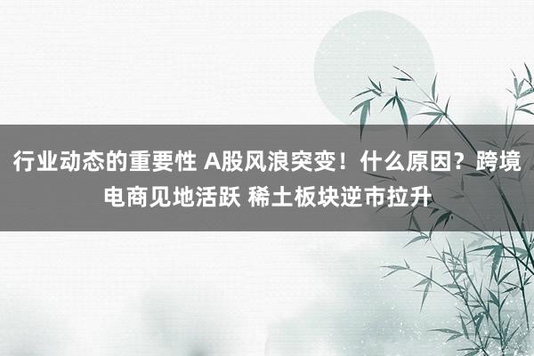 行业动态的重要性 A股风浪突变！什么原因？跨境电商见地活跃 稀土板块逆市拉升