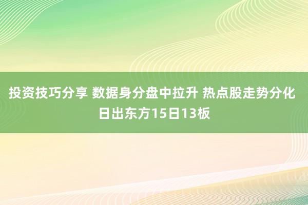 投资技巧分享 数据身分盘中拉升 热点股走势分化 日出东方15日13板