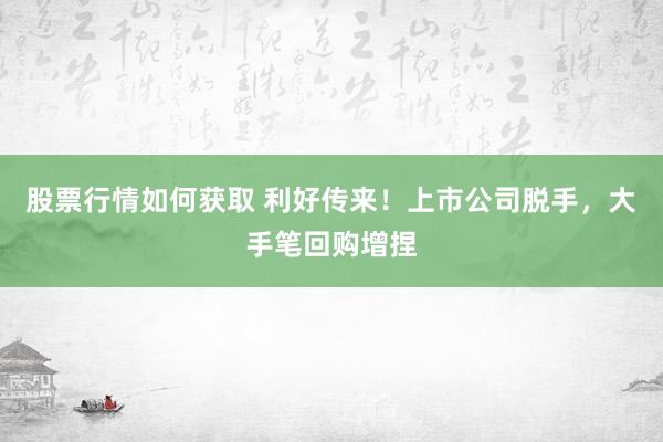 股票行情如何获取 利好传来！上市公司脱手，大手笔回购增捏