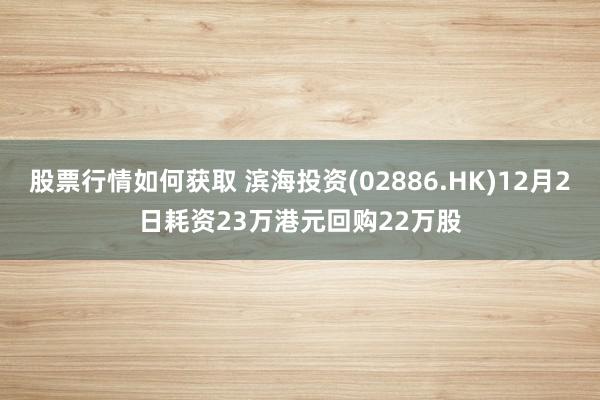 股票行情如何获取 滨海投资(02886.HK)12月2日耗资23万港元回购22万股