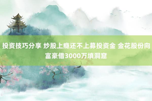 投资技巧分享 炒股上瘾还不上募投资金 金花股份向富豪借3000万填洞窟