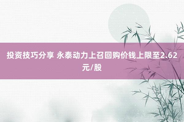 投资技巧分享 永泰动力上召回购价钱上限至2.62元/股