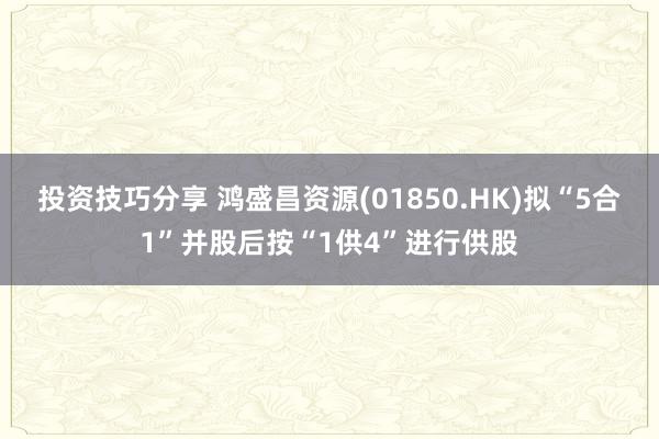 投资技巧分享 鸿盛昌资源(01850.HK)拟“5合1”并股后按“1供4”进行供股