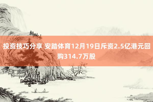 投资技巧分享 安踏体育12月19日斥资2.5亿港元回购314.7万股