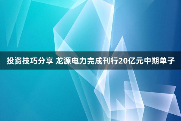 投资技巧分享 龙源电力完成刊行20亿元中期单子