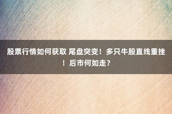 股票行情如何获取 尾盘突变！多只牛股直线重挫！后市何如走？