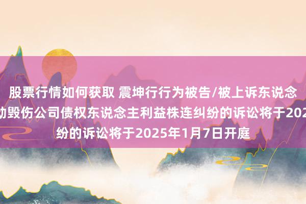 股票行情如何获取 震坤行行为被告/被上诉东说念主的1起触及鼓动毁伤公司债权东说念主利益株连纠纷的诉讼将于2025年1月7日开庭