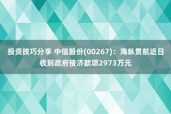 投资技巧分享 中信股份(00267)：海纵贯航近日收到政府接济款项2973万元