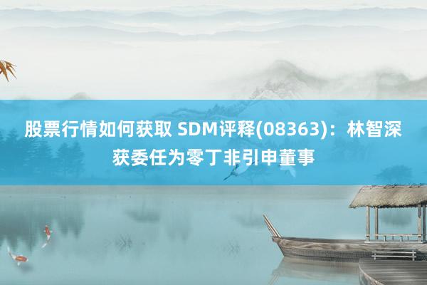 股票行情如何获取 SDM评释(08363)：林智深获委任为零丁非引申董事