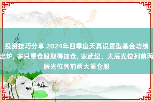 投资技巧分享 2024年四季度天真设置型基金功绩冠军季报出炉, 多只重仓股取得加仓, 寒武纪、太辰光位列前两大重仓股