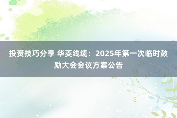 投资技巧分享 华菱线缆：2025年第一次临时鼓励大会会议方案公告