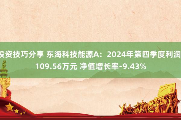 投资技巧分享 东海科技能源A：2024年第四季度利润-109.56万元 净值增长率-9.43%