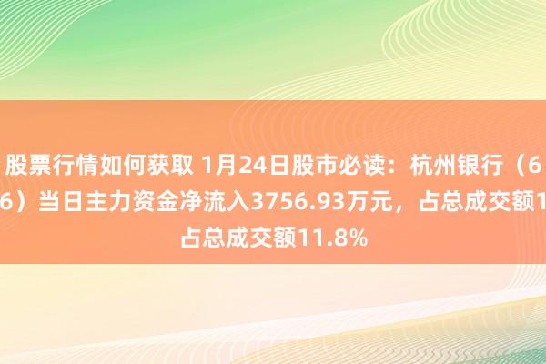 股票行情如何获取 1月24日股市必读：杭州银行（600926）当日主力资金净流入3756.93万元，占总成交额11.8%