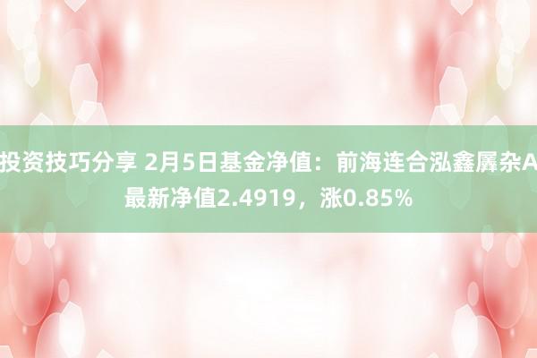 投资技巧分享 2月5日基金净值：前海连合泓鑫羼杂A最新净值2.4919，涨0.85%