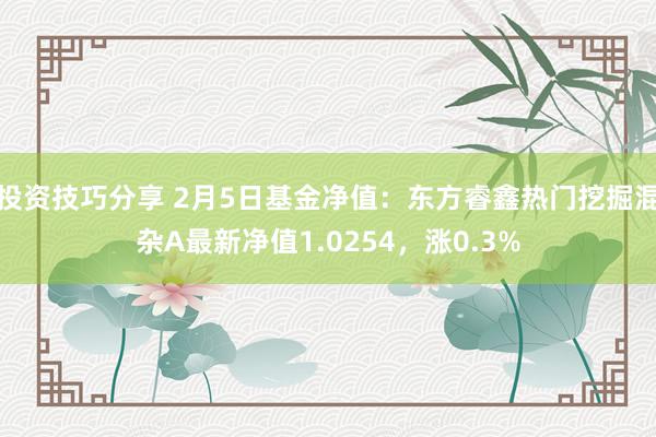 投资技巧分享 2月5日基金净值：东方睿鑫热门挖掘混杂A最新净值1.0254，涨0.3%