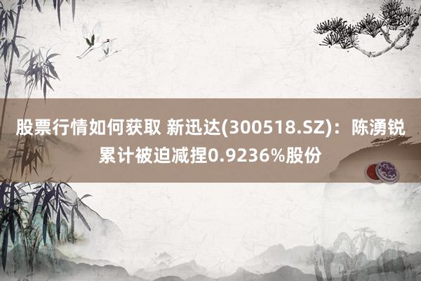 股票行情如何获取 新迅达(300518.SZ)：陈湧锐累计被迫减捏0.9236%股份