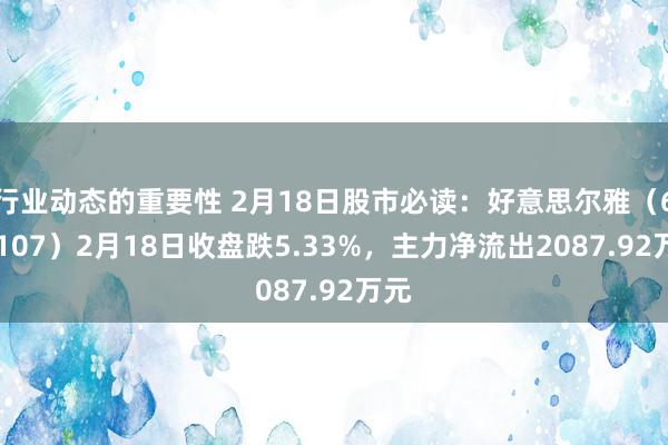 行业动态的重要性 2月18日股市必读：好意思尔雅（600107）2月18日收盘跌5.33%，主力净流出2087.92万元