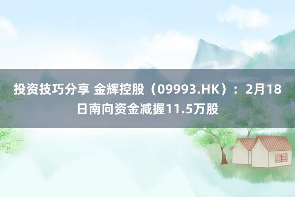 投资技巧分享 金辉控股（09993.HK）：2月18日南向资金减握11.5万股