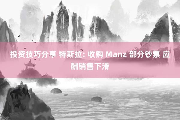 投资技巧分享 特斯拉: 收购 Manz 部分钞票 应酬销售下滑