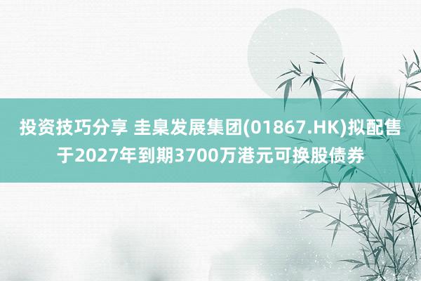 投资技巧分享 圭臬发展集团(01867.HK)拟配售于2027年到期3700万港元可换股债券