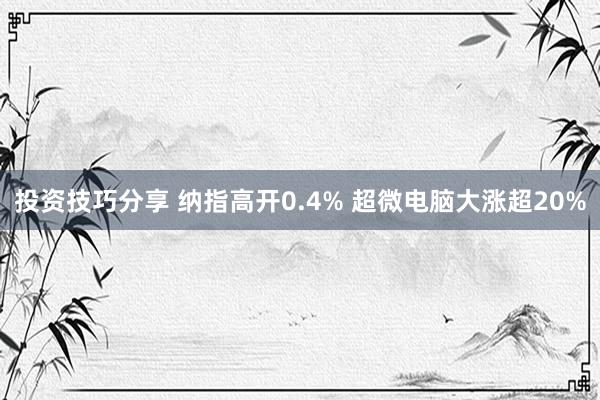 投资技巧分享 纳指高开0.4% 超微电脑大涨超20%