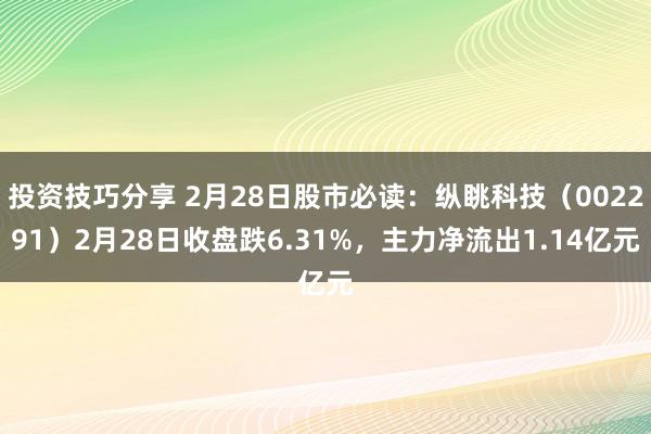 投资技巧分享 2月28日股市必读：纵眺科技（002291）2月28日收盘跌6.31%，主力净流出1.14亿元