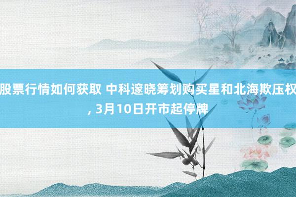 股票行情如何获取 中科邃晓筹划购买星和北海欺压权, 3月10日开市起停牌